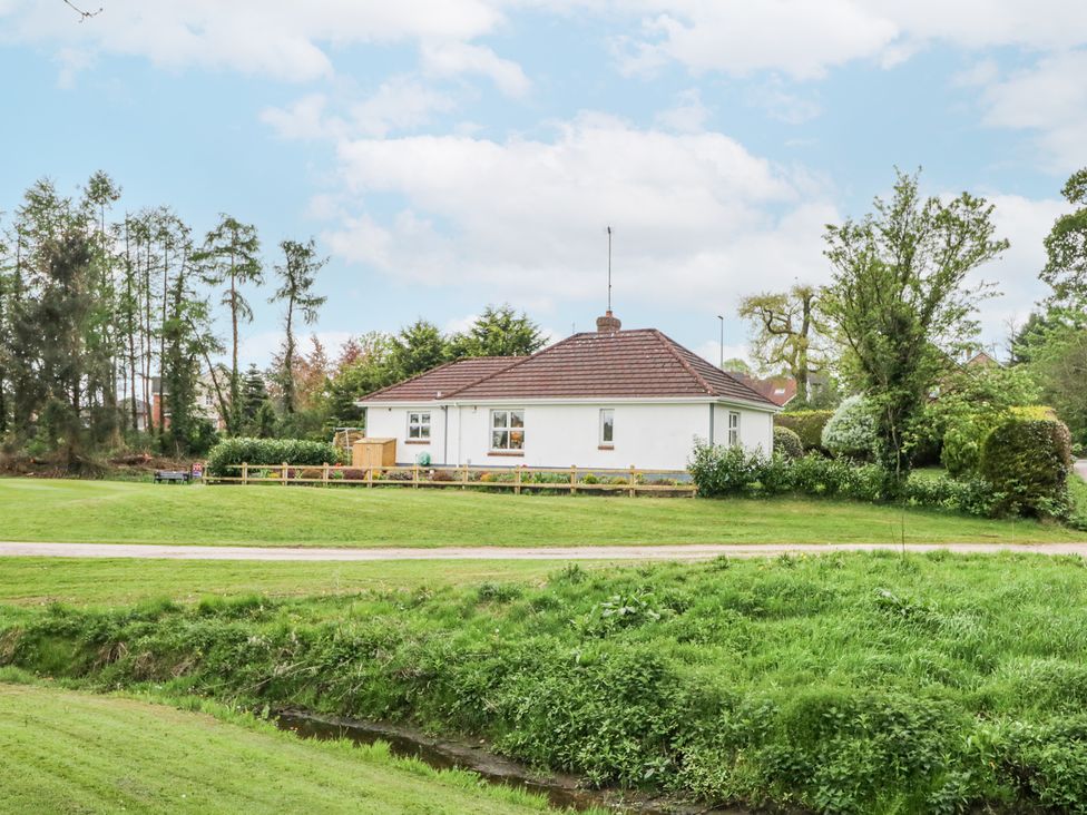 Shirley's House -  - 1174737 - thumbnail photo 41