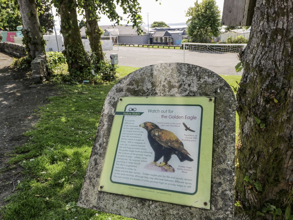 A nature informational sign about the Golden Eagle outdoors at Number 42 Wemyss Bay