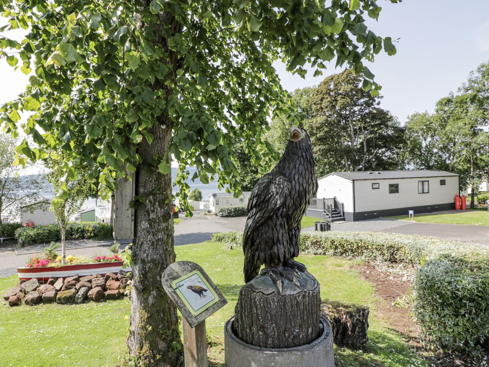 A garden with an eagle sculpture and residential units at Number 42 Wemyss Bay