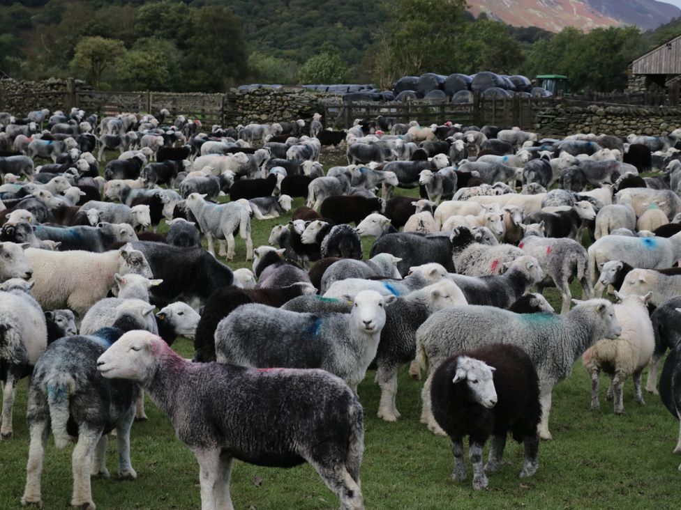 Robin's Lodge - Lake District - 1174778 - thumbnail photo 45