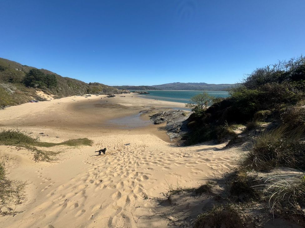 A beach with sand, water, and a dog at The Cottage On The Green Borth-Y-Gest