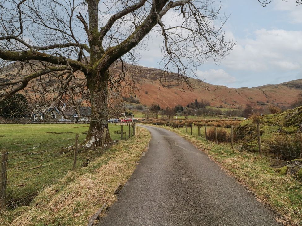 A road with a tree beside it at Deer How Farm Patterdale near Glenridding