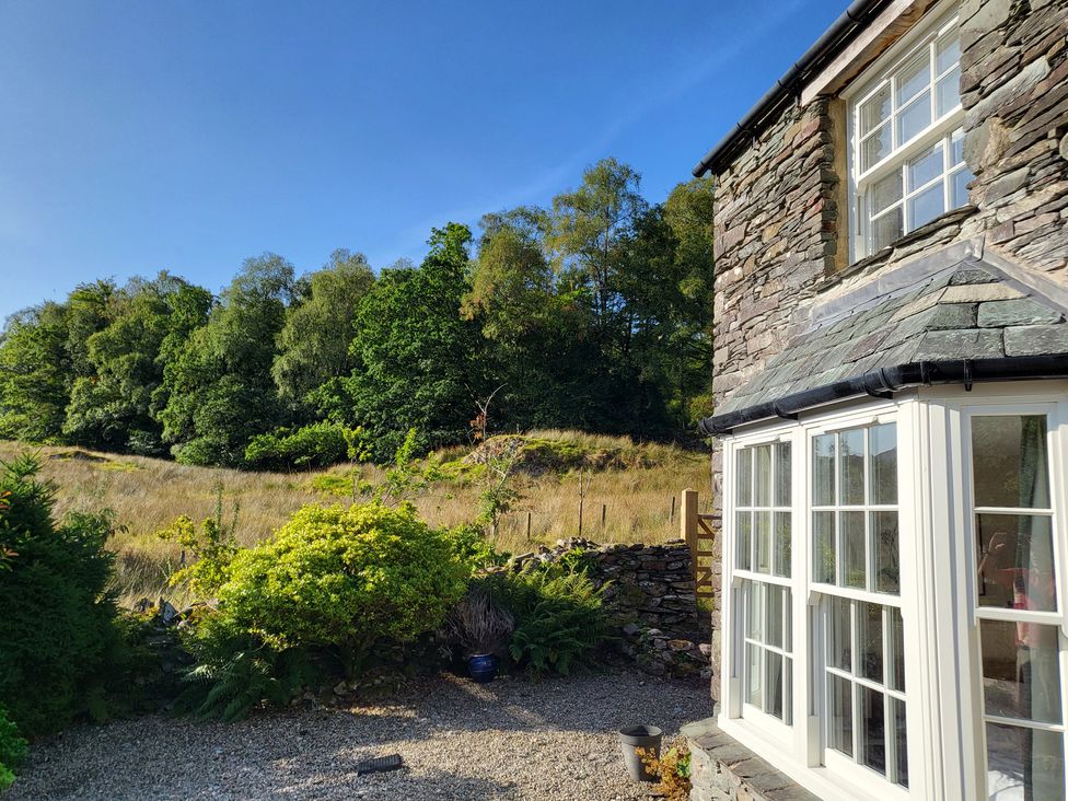 A view of trees and grass from an outdoor area at Deer How Farm in Patterdale near Glenridding