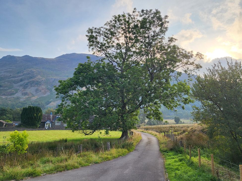 A tree by the road with mountains in the background at Deer How Farm Patterdale near Glenridding