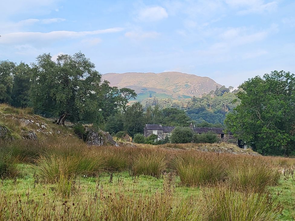 A landscape with grass and trees near a house at Deer How Farm Patterdale near Glenridding