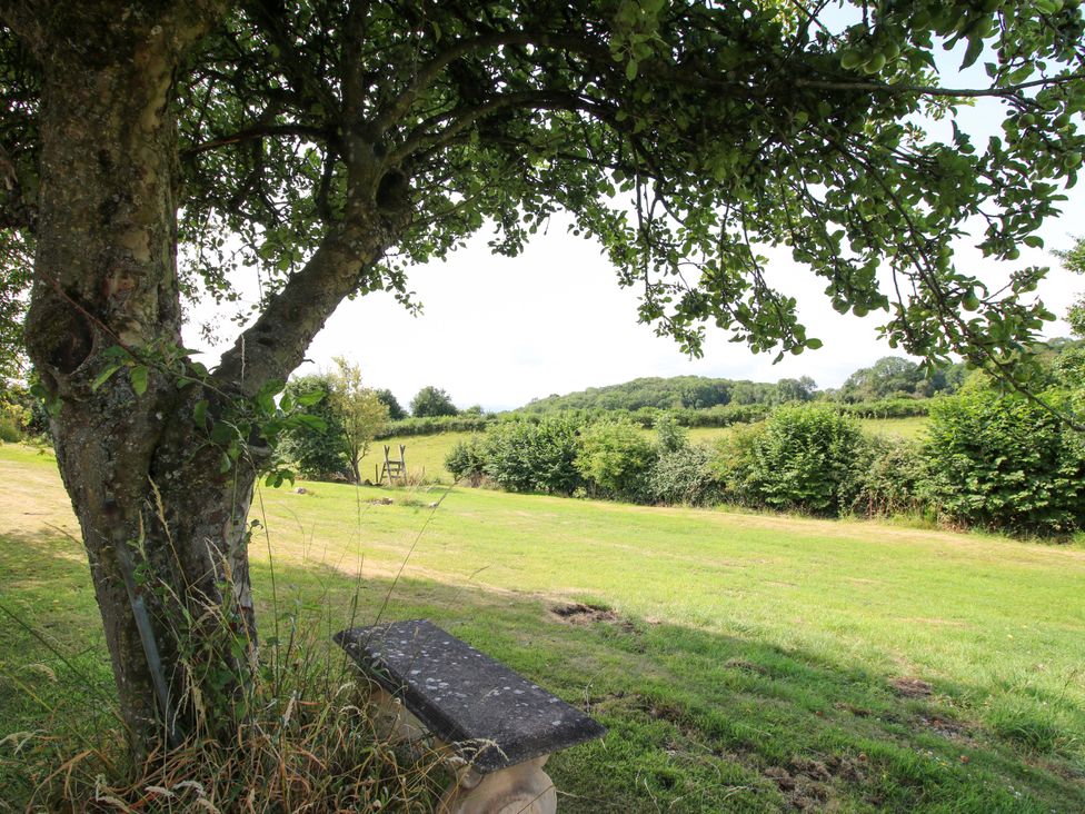 A garden with a tree and bench at The Long House near Trefonen