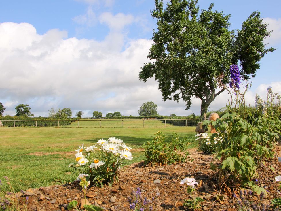 A view of flowers and grass with a tree and fence at The Long House Near Trefonen