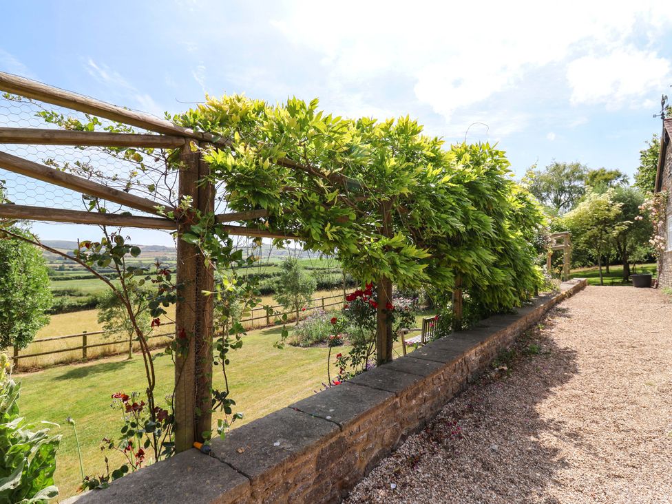 A garden with a wooden fence and plants at Tithe Barn Cottage in Litton Cheney near Burton Bradstock
