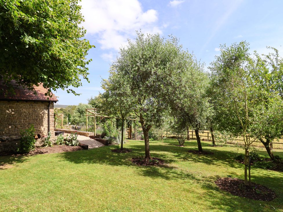 A garden with trees and a pathway at Tithe Barn Cottage Litton Cheney near Burton Bradstock