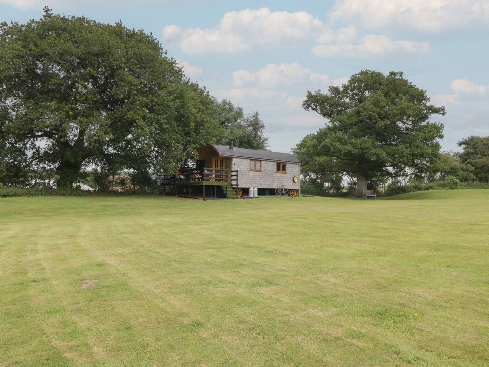A shepherd hut surrounded by grass and trees at Shepherd Hut’s Bristol