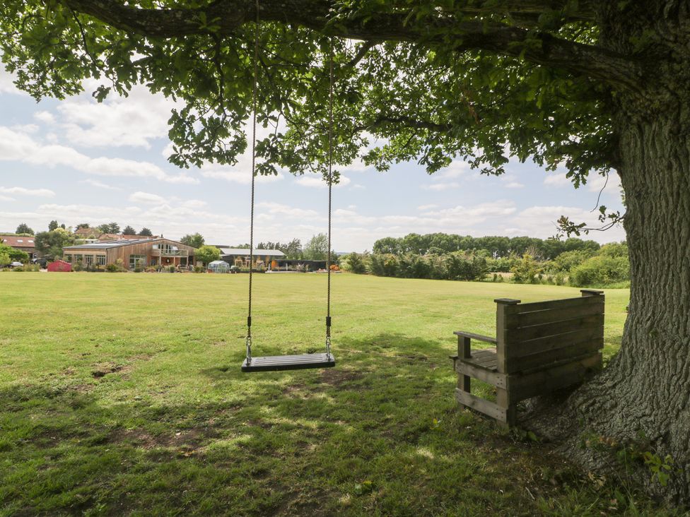 A swing and bench under a tree in an outdoor area at Shepherd Hut’s in Bristol