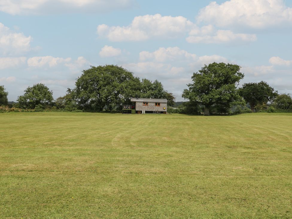 A building surrounded by trees and grass at Shepherd Hut’s in Bristol