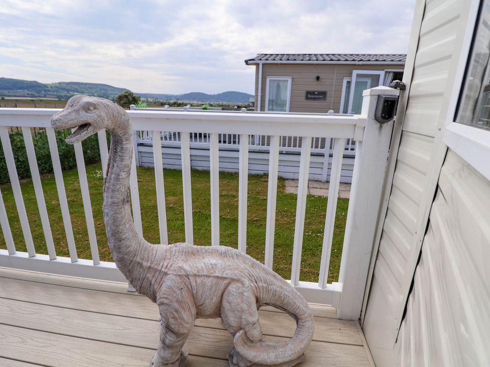 Lawi39 - North Wales - 1175083 - thumbnail photo 19