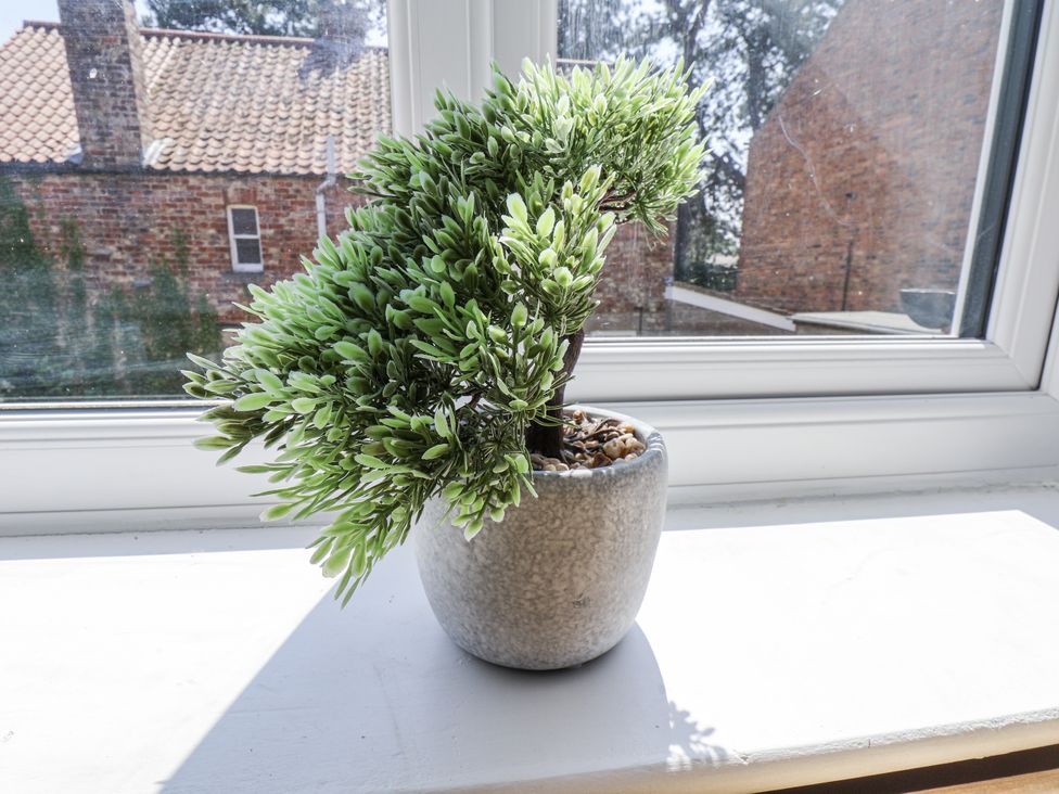 A plant in a pot on a window sill at Hemdin Cottage in Thornton Dale