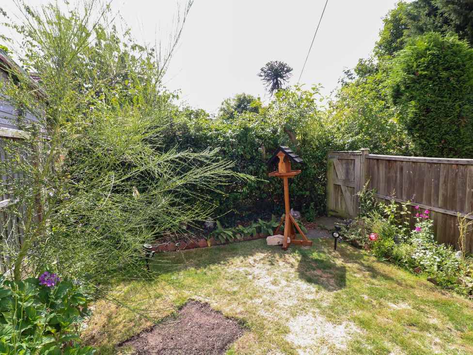 A garden with a bird feeder and plants at 37 East Lane in Mansfield