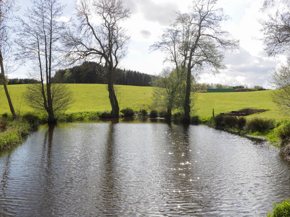 A pond with trees around it and green fields in the background at Twilight in Raglan
