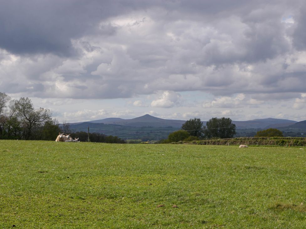 A green field with sheep lying down and trees in the distance under a cloudy sky at Twilight in Raglan