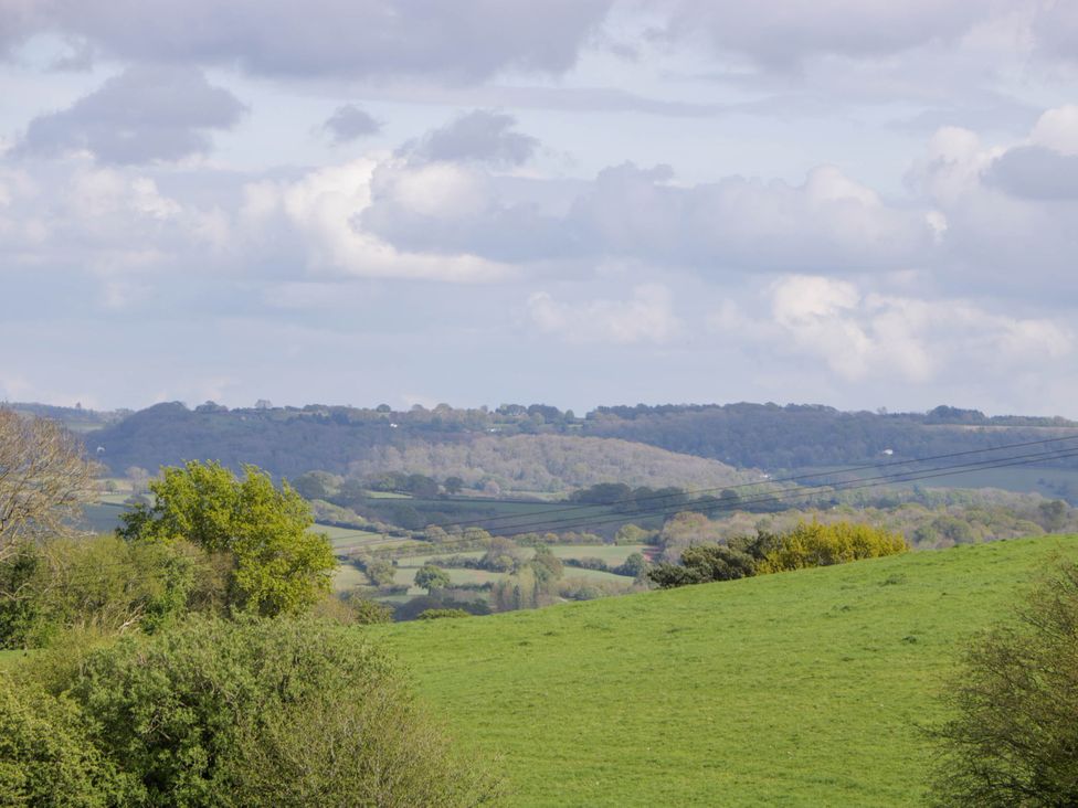 Green fields with trees in the countryside under a cloudy sky at Twilight in Raglan