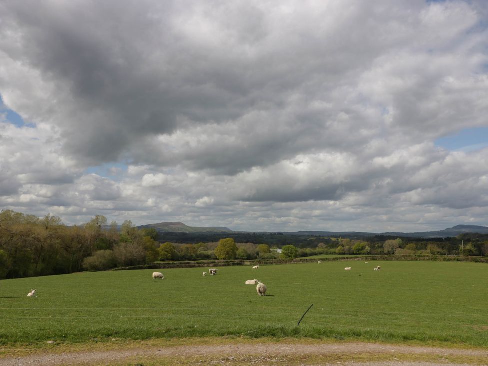 A green field with sheep grazing under a cloudy sky at Twilight in Raglan