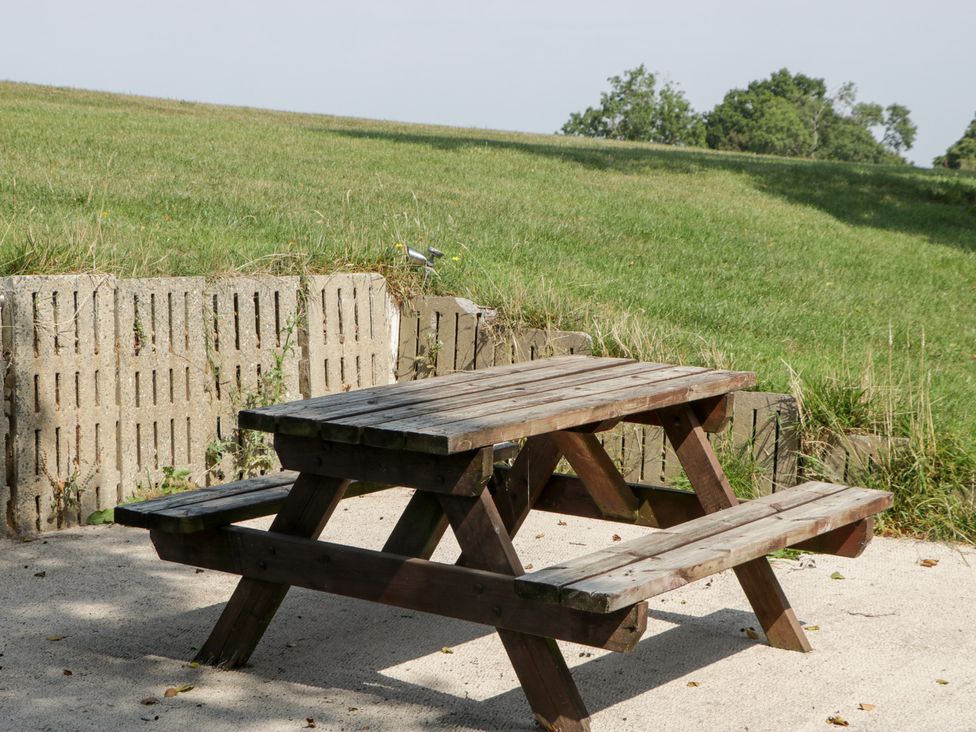 A picnic table on grass at Twilight in Raglan
