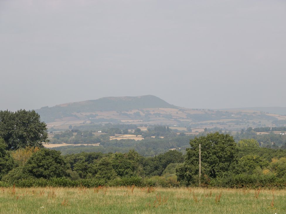 A landscape view featuring a mountain and trees at Twilight in Raglan
