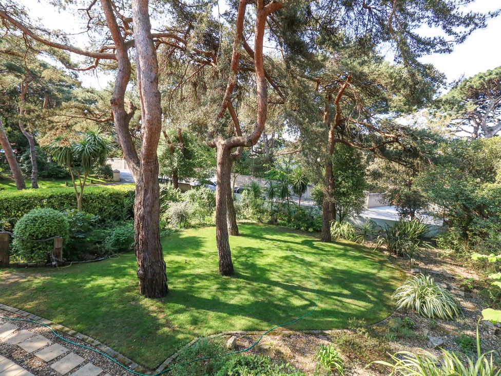 A garden with grass lawn trees and shrubs surrounded by a pathway and a wall at 6 Red Sails in Sandbanks