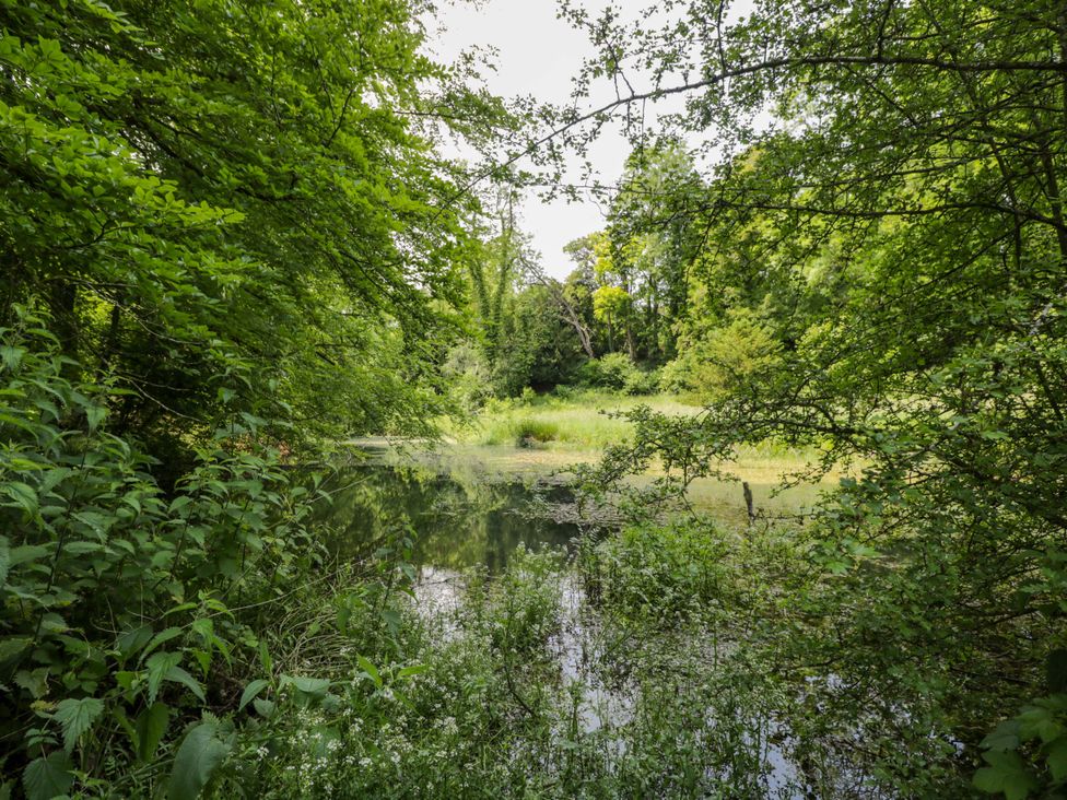 A pond surrounded by greenery at Keepers Cottage in Devizes