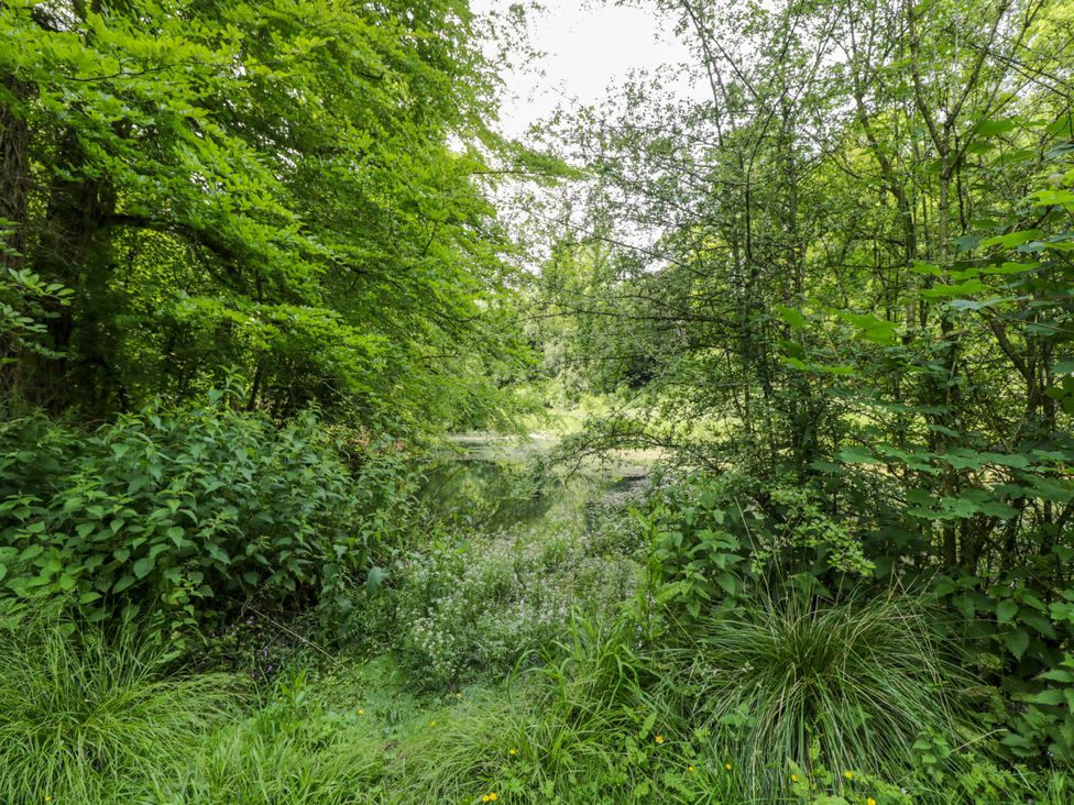 A view of a natural area with trees and water at Keepers Cottage Devizes