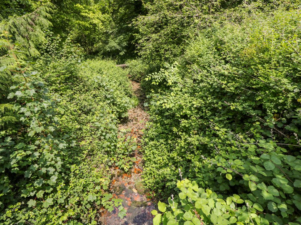 A path with plants and bushes on either side at Keepers Cottage in Devizes
