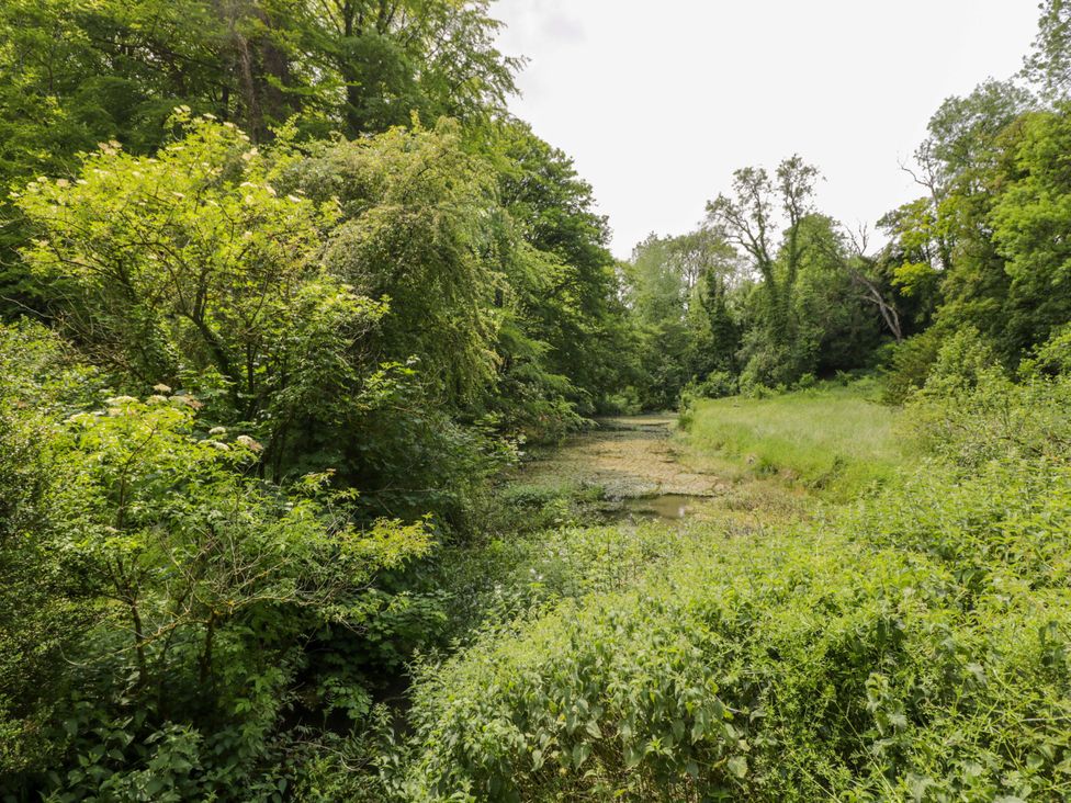 A natural landscape with trees and a stream at Keepers Cottage in Devizes