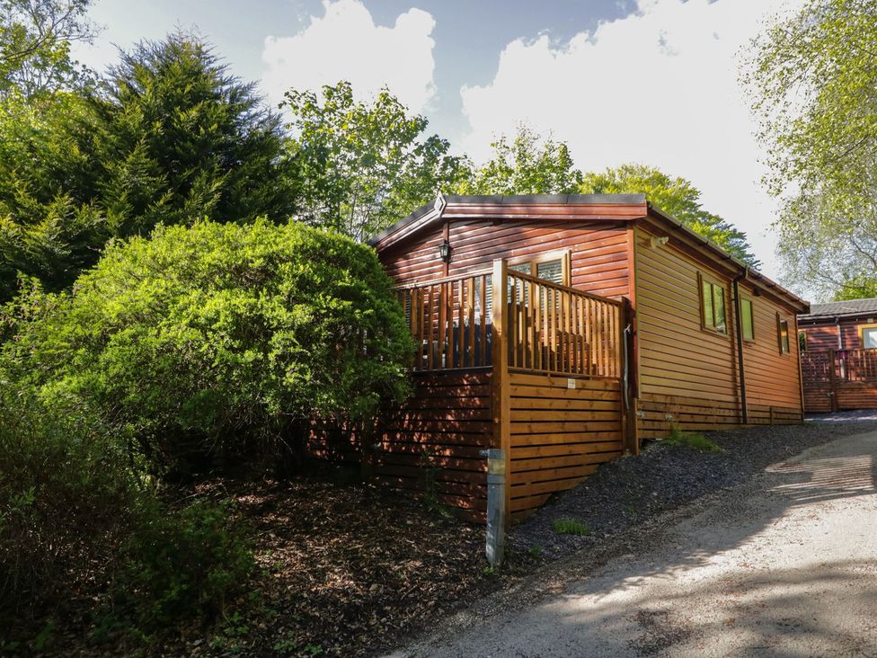 A wooden cabin with a small porch surrounded by trees and bushes at Mere Brook Lodge White Cross Bay