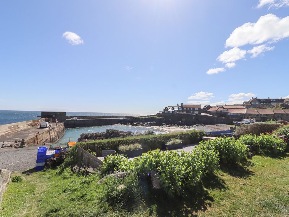 Puffin Cottage - Northumberland - 1175140 - thumbnail photo 39