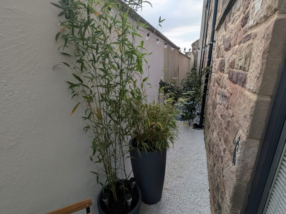 An outdoor pathway with plants and flower pots at Craster House in Seahouses