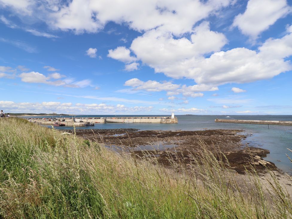 A view of a pier with boats on water and grassy foreground at Craster House in Seahouses