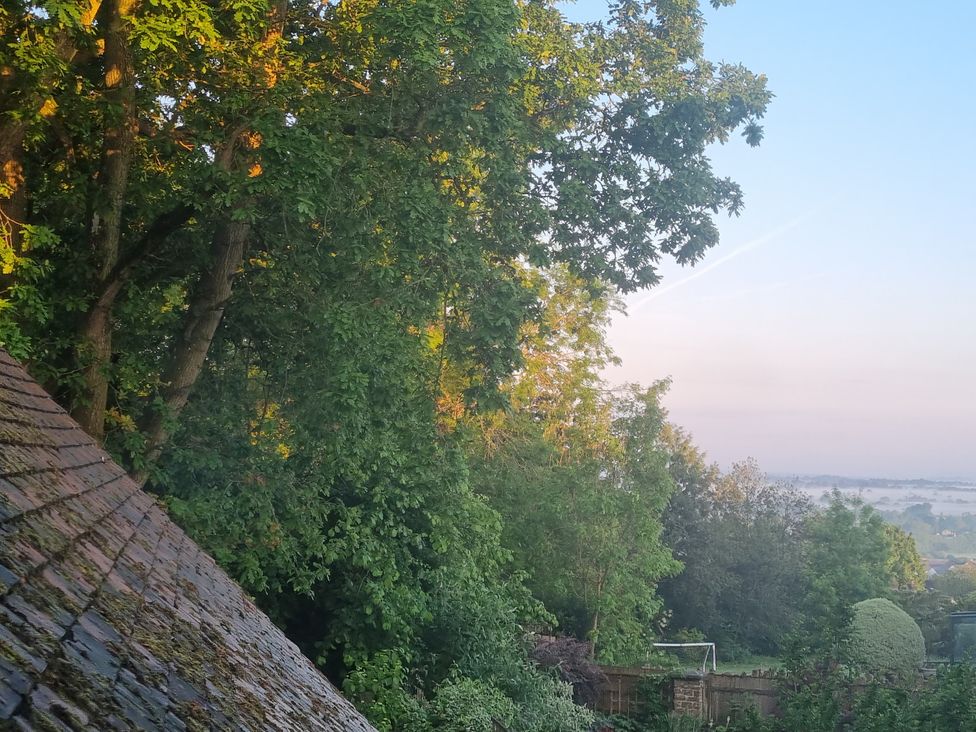 A garden with trees and a roof at The Coach House in Castle Cary