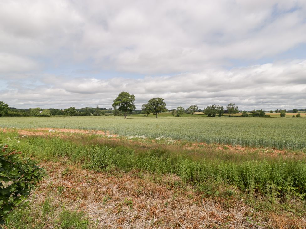 A field with trees and clouds at Little Acorn Cottage in Munsley near Ledbury