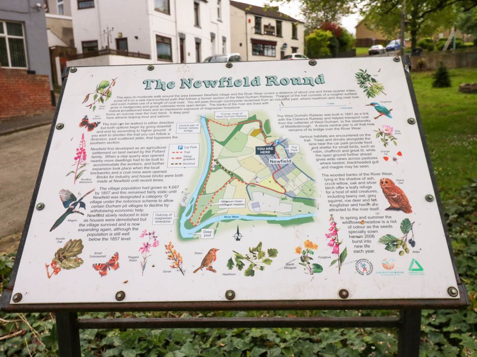 Newfield Apartment - Yorkshire Dales - 1175257 - thumbnail photo 39