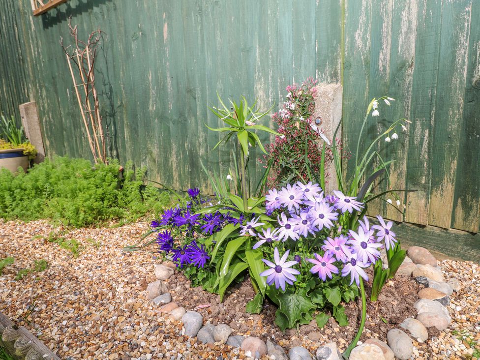 A flower bed with various plants and a green wall at Pebble Place Rustington