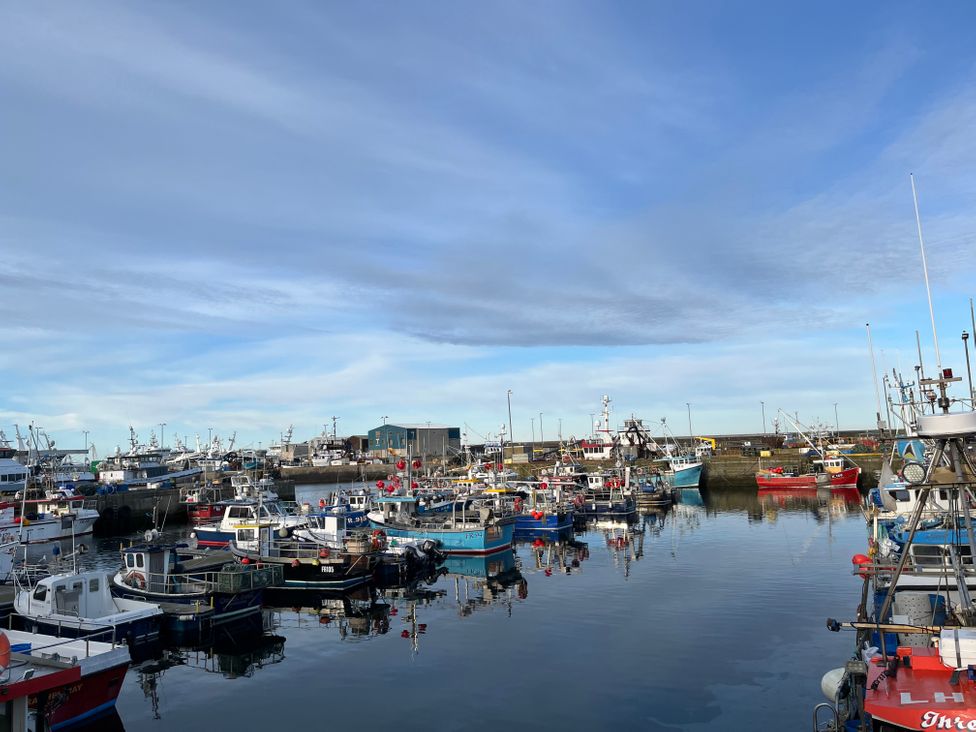 Sea Breeze St Combs - Scottish Lowlands - 1175368 - thumbnail photo 24