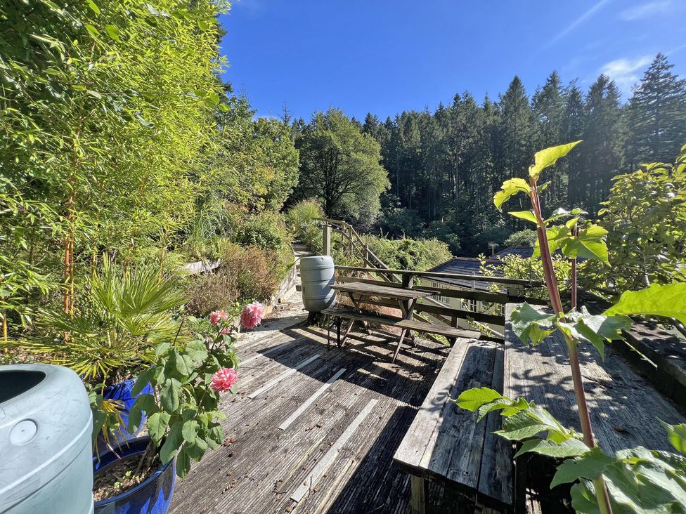 A garden with seating area and plants at Lost In The Woods Lodge near Bodmin
