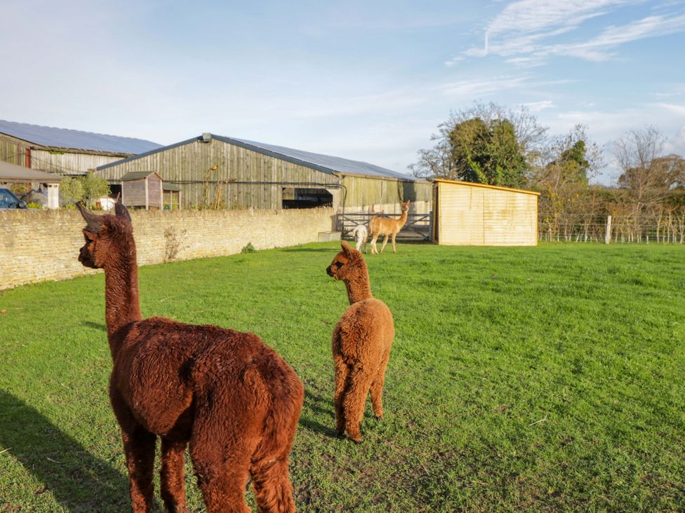 Wiltshire Weavers Hut - Somerset & Wiltshire - 1175447 - thumbnail photo 21