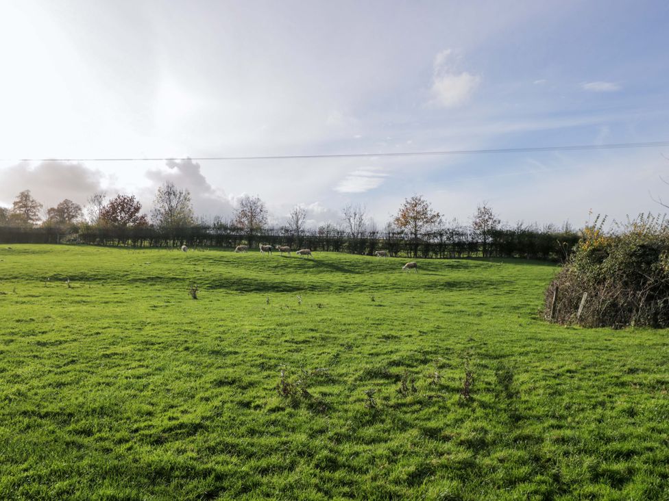 A field with grass and sheep at Wiltshire Weavers Hut Sutton Benger near Christian Malford