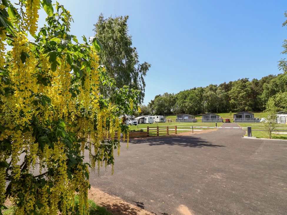 An outdoor view of caravans and yellow flowers at The Pines 2 Bedrooms in Delamere