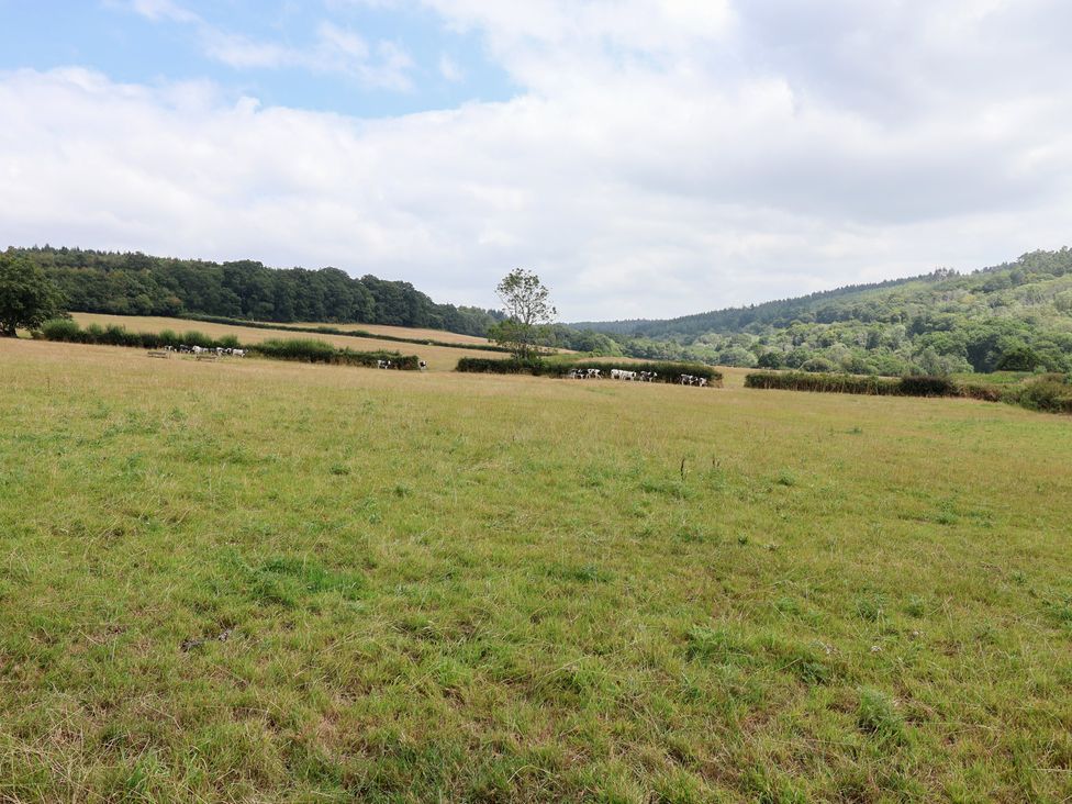 A meadow with cows in the distance and hills under a cloudy sky at Harcombe House Bungalow 25, Chudleigh