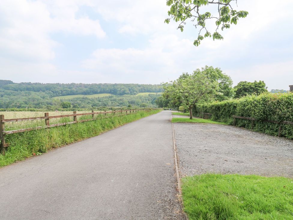 A road lined by trees and a fence leading to hills at Harcombe House Bungalow 25 Chudleigh