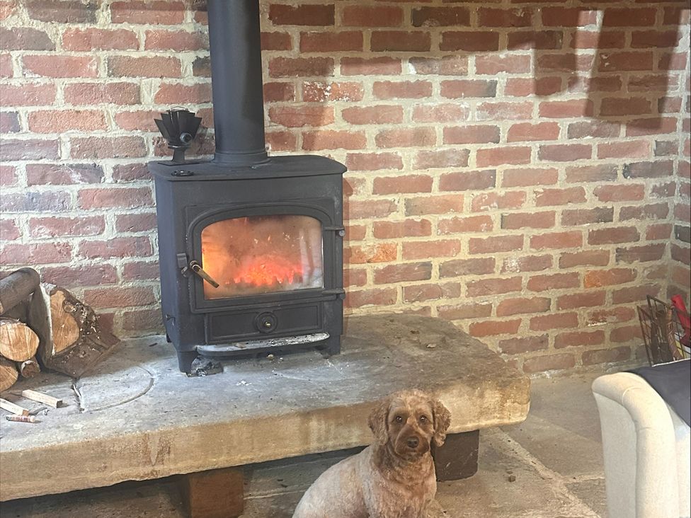 A living room with a wood stove and a dog at Farnah House Barn in Duffield