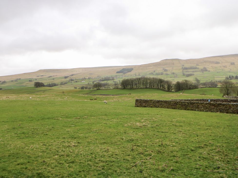 A field with a stone wall and trees in the landscape at Bridge House