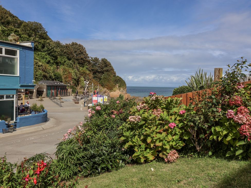 A view of the ocean and plants at Zide the Zea, Hele Bay, Ilfracombe