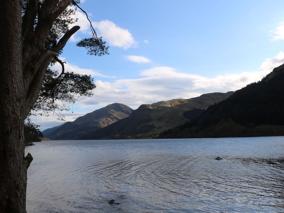 A lake with hills in the background and a tree in the foreground at Lenas Corner in Dunoon