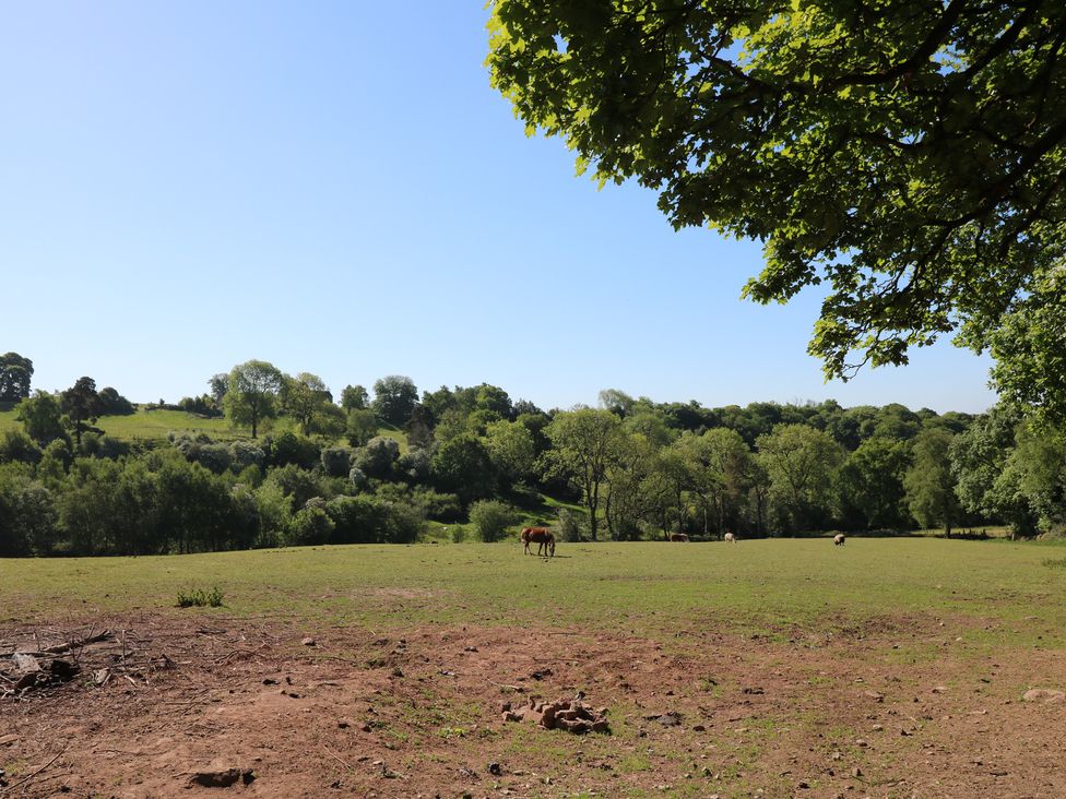 The Greatest Showman - Peak District & Derbyshire - 1175530 - thumbnail photo 24